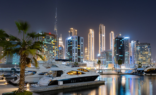 Illuminated Dubai City Skyline and Marina