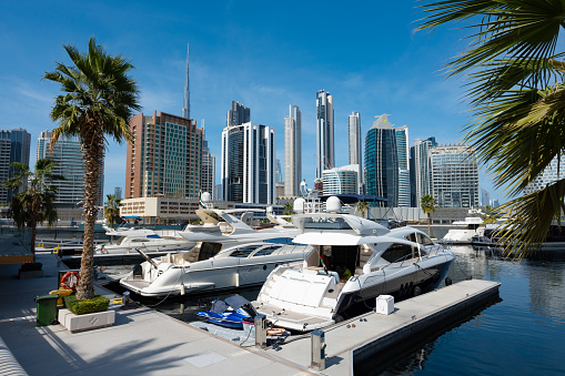 Dubai City Skyline and Marina
