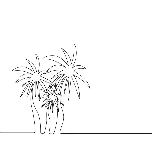 illustrazioni stock, clip art, cartoni animati e icone di tendenza di palme, paesaggio di palme. disegno a mano di una linea continua. vettore. - horizon over water transportation sailing hawaii islands