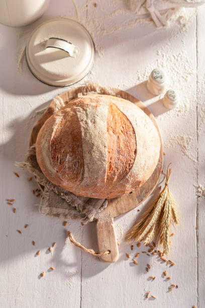 istock Homemade round loaf bread baking in with grain and ears. 2037960719