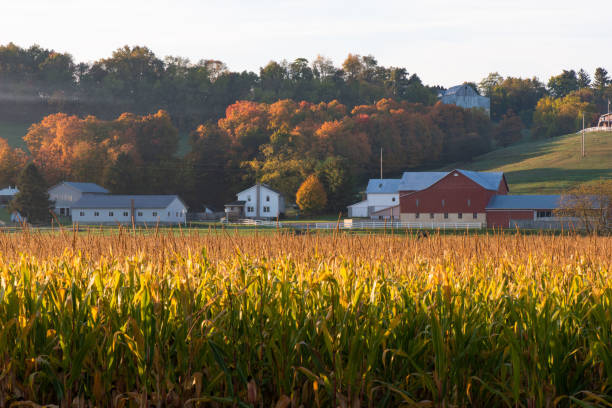 istock Fall Trees and Amish farm in Walnut Creek, Ohio 2037967376
