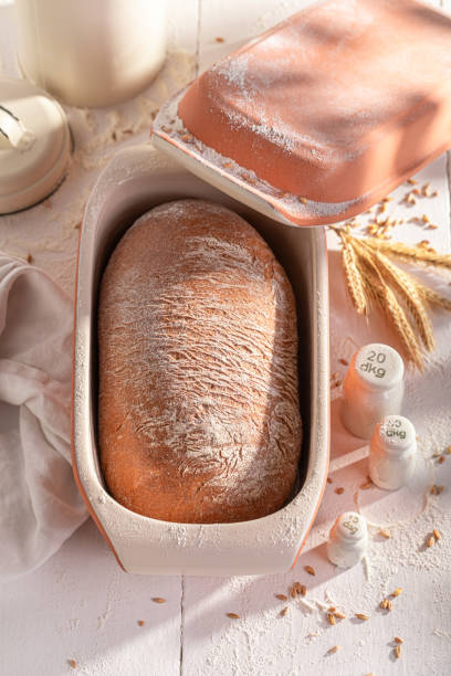 istock Fresh loaf of bread in a ceramic baking tin. 2037970028