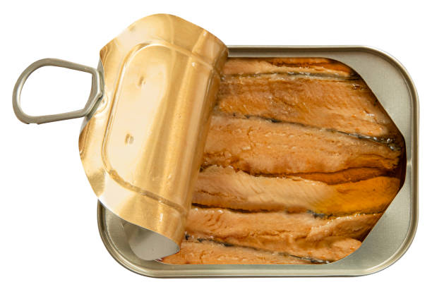 Can of sardines. Top view isolated