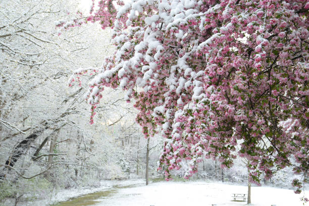 istock Happy Hollow Park, West Lafayette, Indiana 2037978618