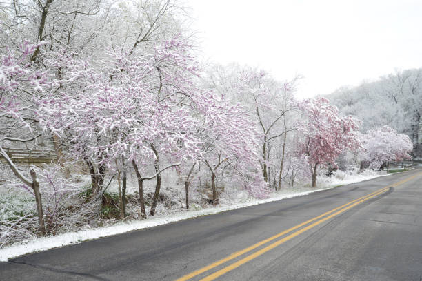 istock Happy Hollow Park, West Lafayette, Indiana 2037979145