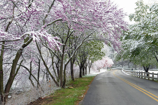 istock Happy Hollow Park, West Lafayette, Indiana 2037979150