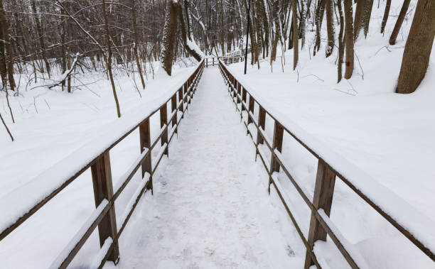 A winter wonderland awaits as snow blankets the outdoor walkway lined with trees and railings, leading to a building surrounded by a freezing forest in the midst of a blizzard
