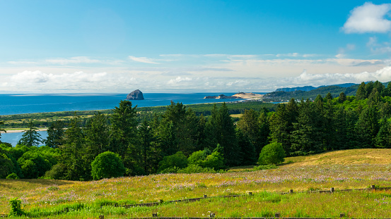 Beautiful meadow of wildflowers overlooking Pacific ocean along Oregon coast, USA