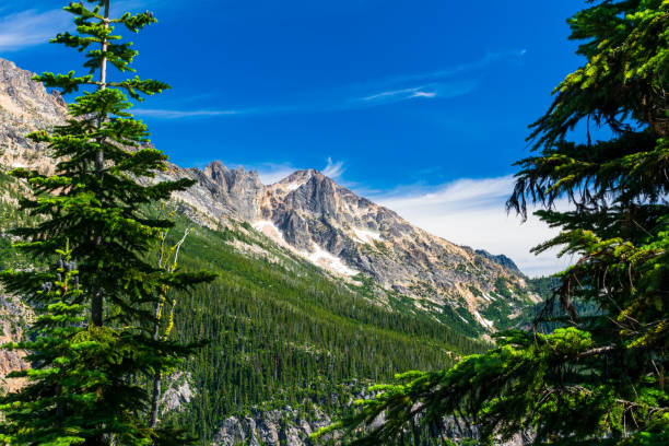 schöner nachmittagsblick auf den north cascades national park-komplex vom washington pass aus - north cascades national park washington state northern cascade range mountain pass stock-fotos und bilder