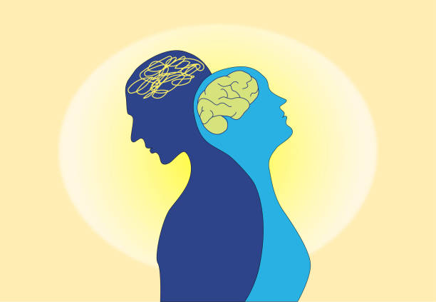 istock Two human heads silhouette with brain mental health psychotherapy. 2037999153