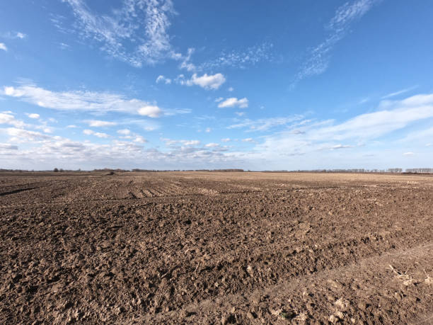 istock Clear blue sky over a plowed field. Landscape. 2038039622