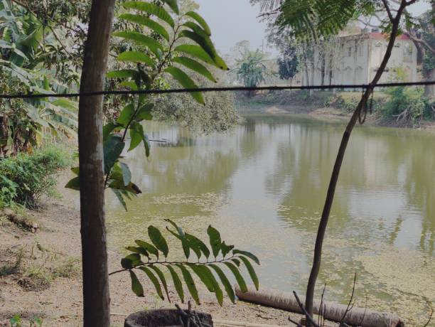 istock pond in the village 2038044467