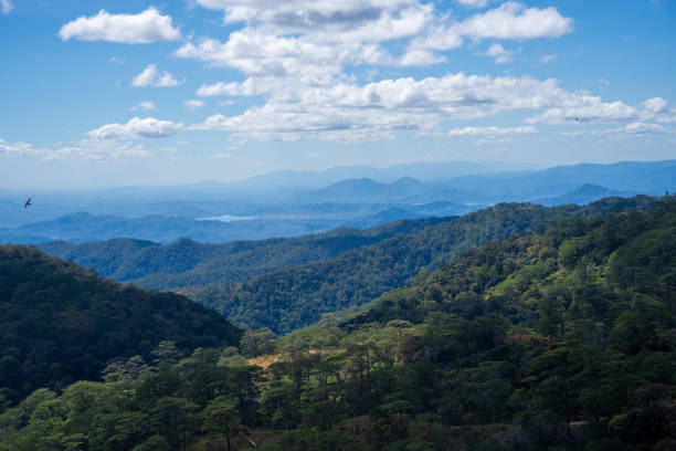 istock Ta Nang - Phan Dung route with milestone between 3 provinces through grass hills and forests in Song Mao Nature Reserve 2038060224