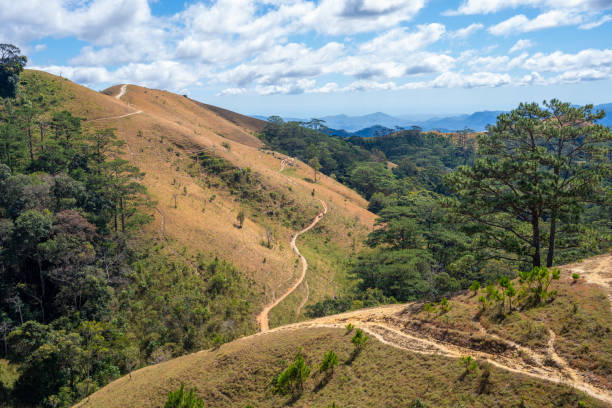 istock Ta Nang - Phan Dung route with milestone between 3 provinces through grass hills and forests in Song Mao Nature Reserve 2038060240