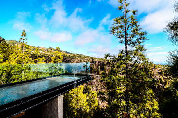 istock Valley in the Canary Islands 2038065026
