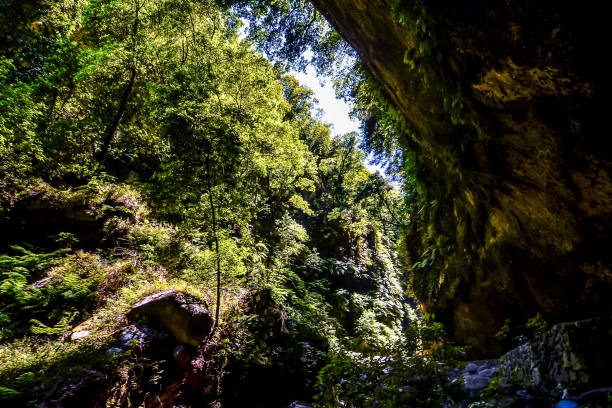 istock Valley in the Canary Islands 2038065028