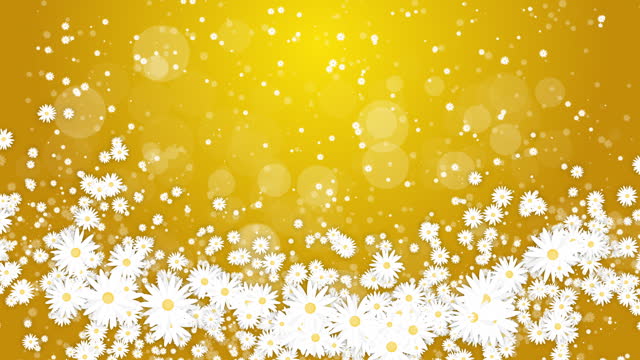 White daisies flowers on a yellow abstract background. Chaotic abstract rotation of floral elements. Looped animation.