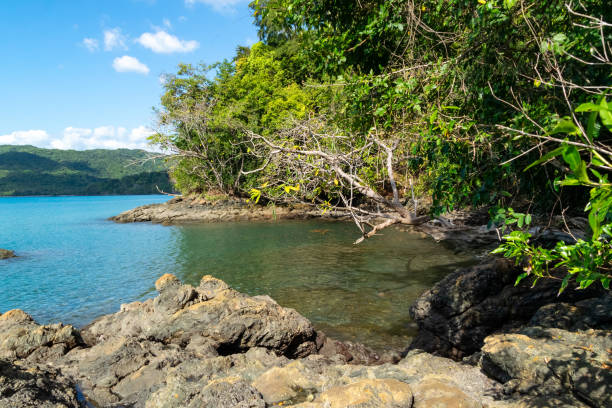 istock Islands and beaches in Pixvae 2038073355
