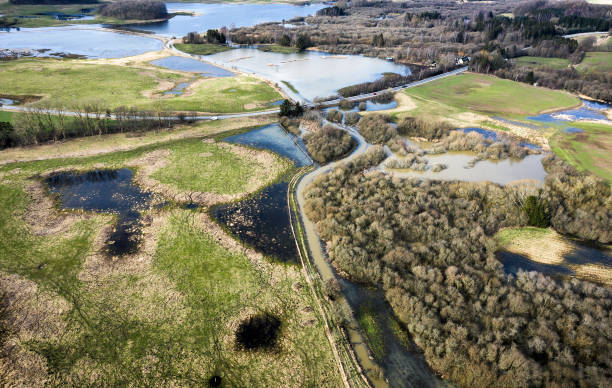 istock Flooded meadow after heavy rainfall 2038074439