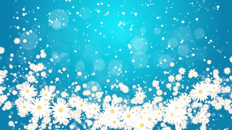 Frame white daisies on blue abstract summer background. Chaotic rotation of floral elements. Looped animation.