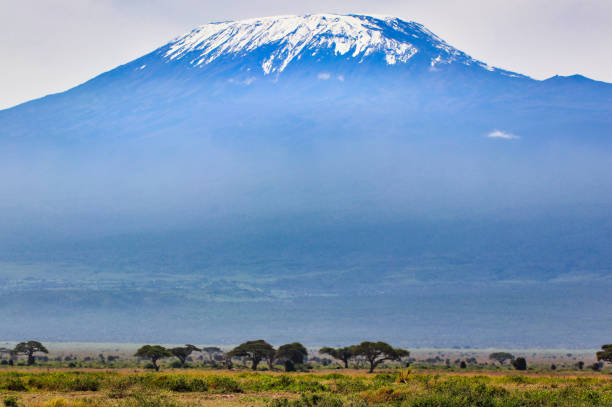 istock Mount Kilimanjaro at Amboseli 2038093284