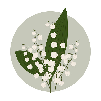 Bouquet of lilies of the valley flowers. Spring illustration, postcard, vector