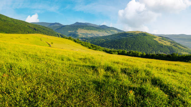 istock carpathian countryside scenery on a sunny summer morning 2038103151