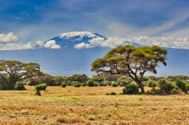istock Mount Kilimanjaro at Amboseli 2038104227