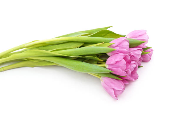 istock Bouquet of violet tulips. 2038114540
