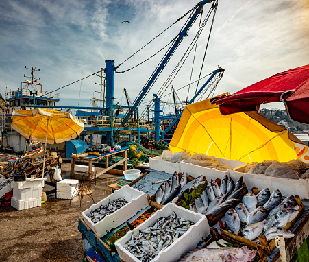 Fish market on the shore