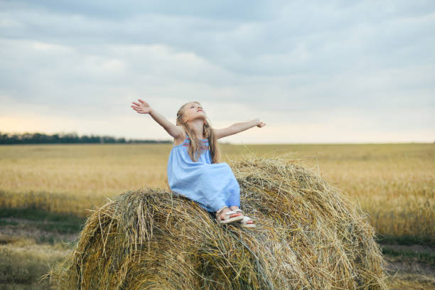 istock Girl in a wheat field on a barley 2038130166