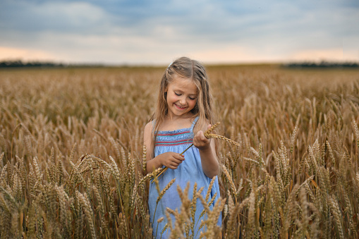 Girl in the wheat field at a sunset
