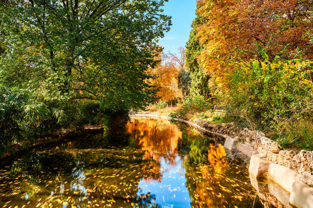 istock Autumn Leaves at Retiro River 2038150137