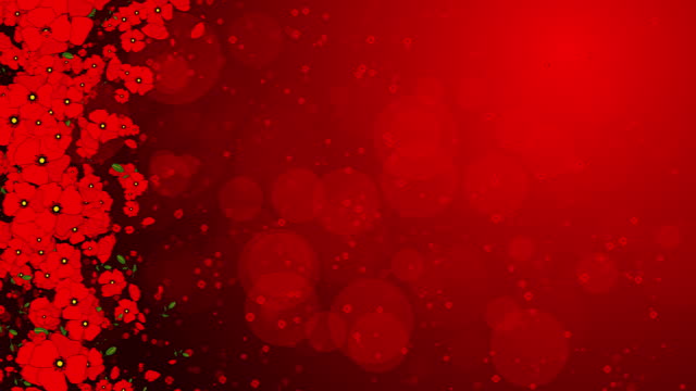 Red poppy flowers on abstract background with blurred bokeh. Rotating floral elements. Looped summer holiday animation.