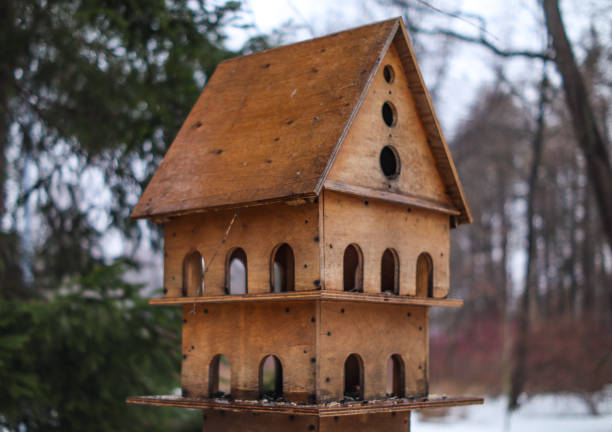 Wooden bird feeder in the park