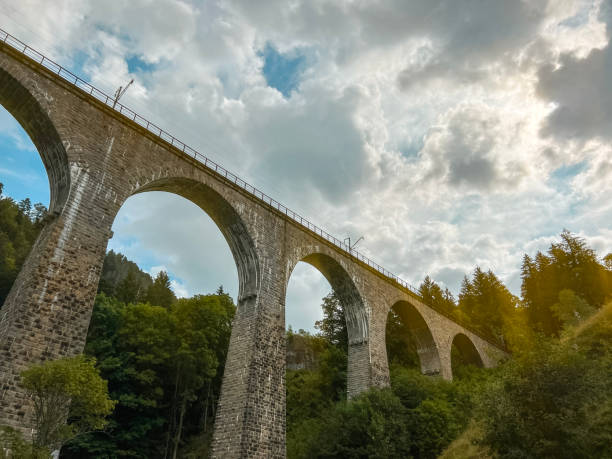 the ravenna bridge in the black forest in germany - ancient forest arch architecture photos et images de collection