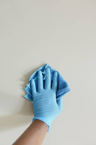 istock hand in blue rubber gloves cleaning table with cloth 2038176826