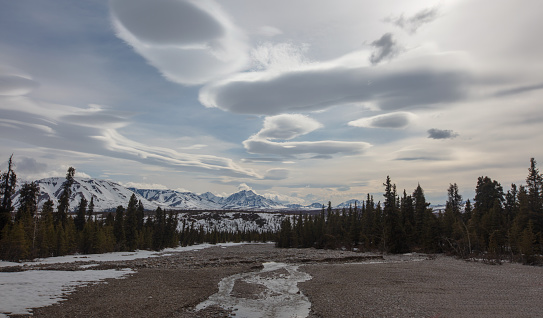 Boulder and gravel riverbed and snowcapped mountains under lenticular clouds in the spring in Denali National Park in Alaska United States