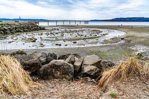 A view of the pier in Des Moines, Washington at low tide.