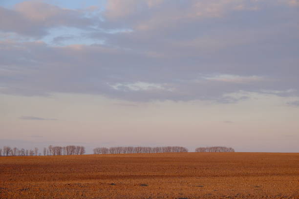 Cloudy evening sky over an empty agricultural field. Bright sunset landscape.
