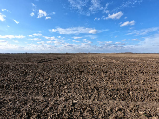 istock Clear blue sky over a plowed field. Landscape. 2038187133
