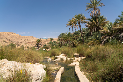 Foot path along irrigation system on the way to refreshing swimming in oasis Wadi Bani Khalid.  Oman