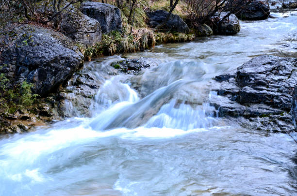 Vedute della Val Rosandra tra la piena del torrente ed i primi fiori.