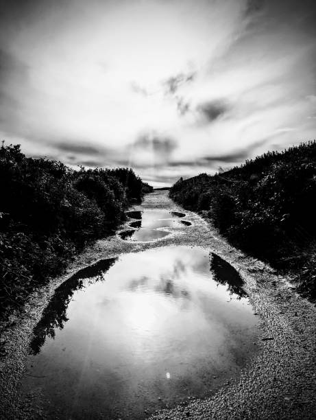 Drone point of view in monotone view of two distant figures walking along a narrow country road winding through open moorland under a brooding sky