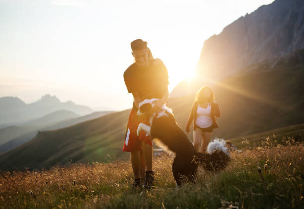 istock Adventures on the Dolomites: teenagers playing with dog 2038230113