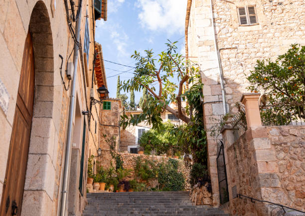 istock Between Soller and Fornalutx, Mallorca, Spain 2038237249