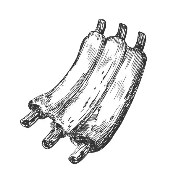 Vector illustration of Hand drawn illustration of roasted ribs