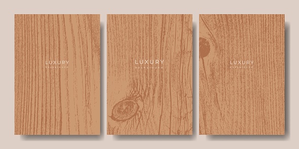 Set of wooden templates. Eco concept background with wood annual rings texture. Banner with tree ring pattern. Stamp of tree trunk in section. Natural wooden concentric circles. Natural background