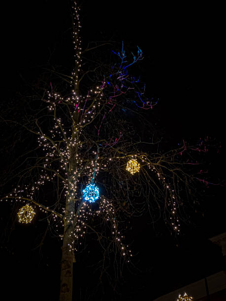 istock christmas tree lights at night, christmas tree lights at night 2038271708