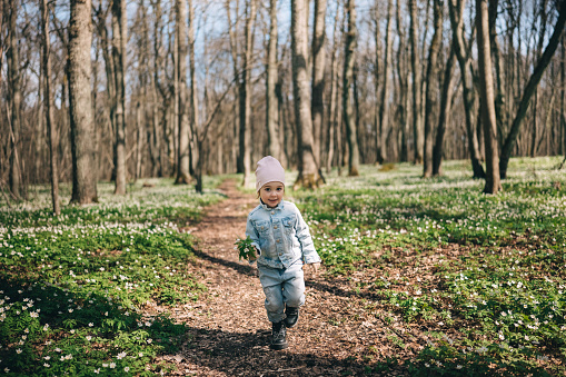 Little 3 years old girl running towards camera in the forest covered with white anemones with bouquet of forest flowers. Happy childhood
